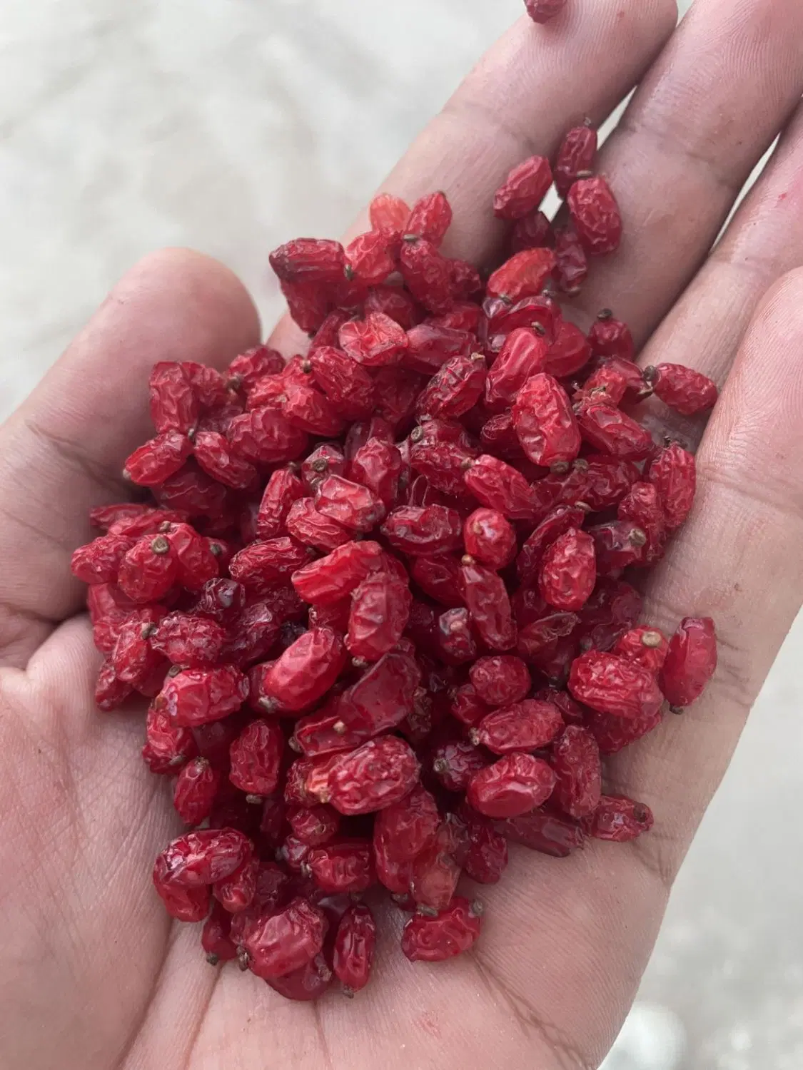 زرشک|خوردنی و آشامیدنی|نیشابور, فضل|دیوار