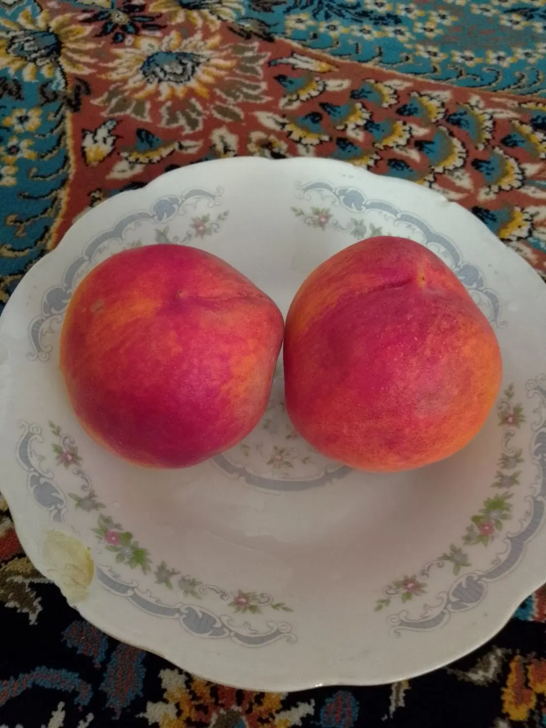 میوه|خوردنی و آشامیدنی|پارس‌آباد, |دیوار