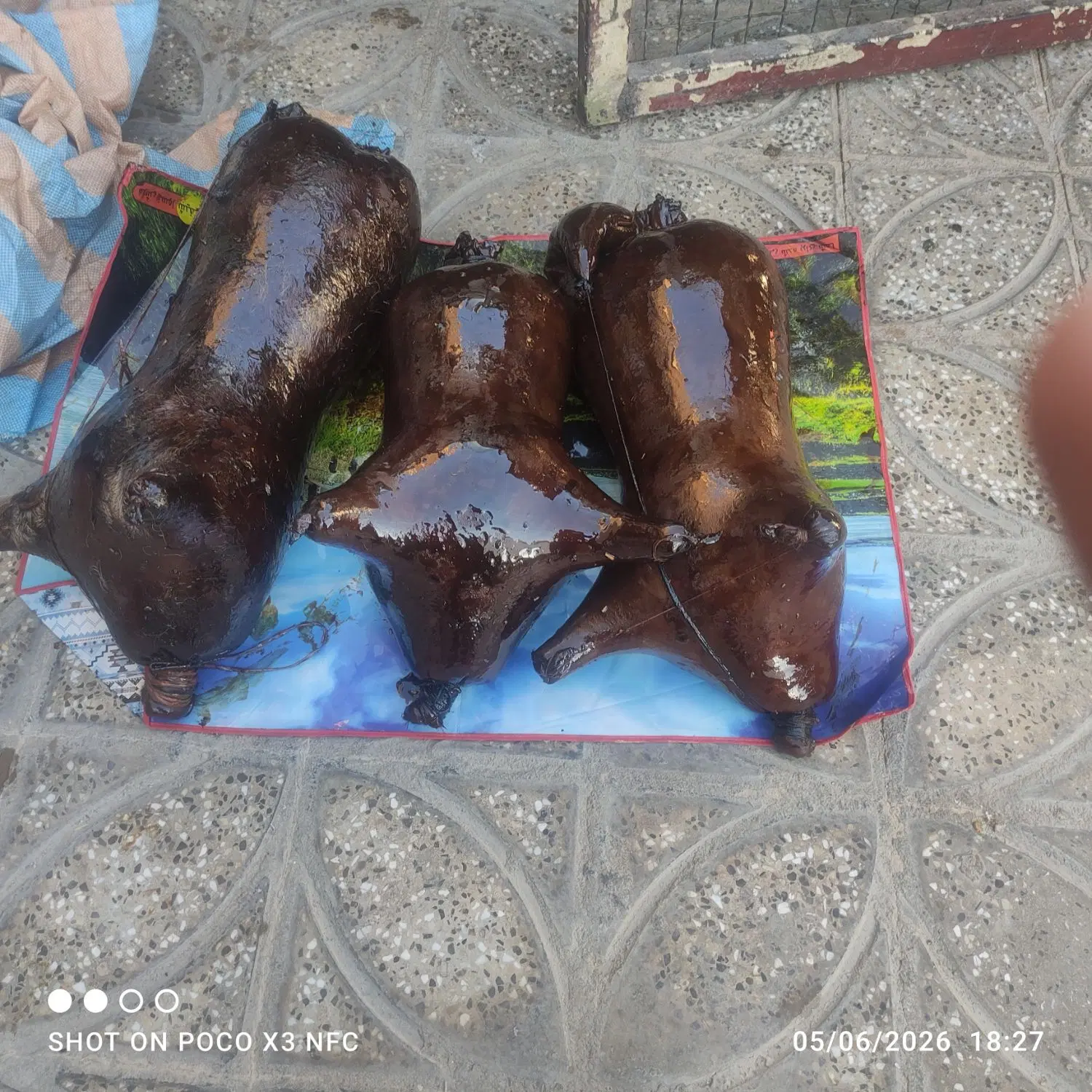 هیزه|خوردنی و آشامیدنی|ایلام, |دیوار
