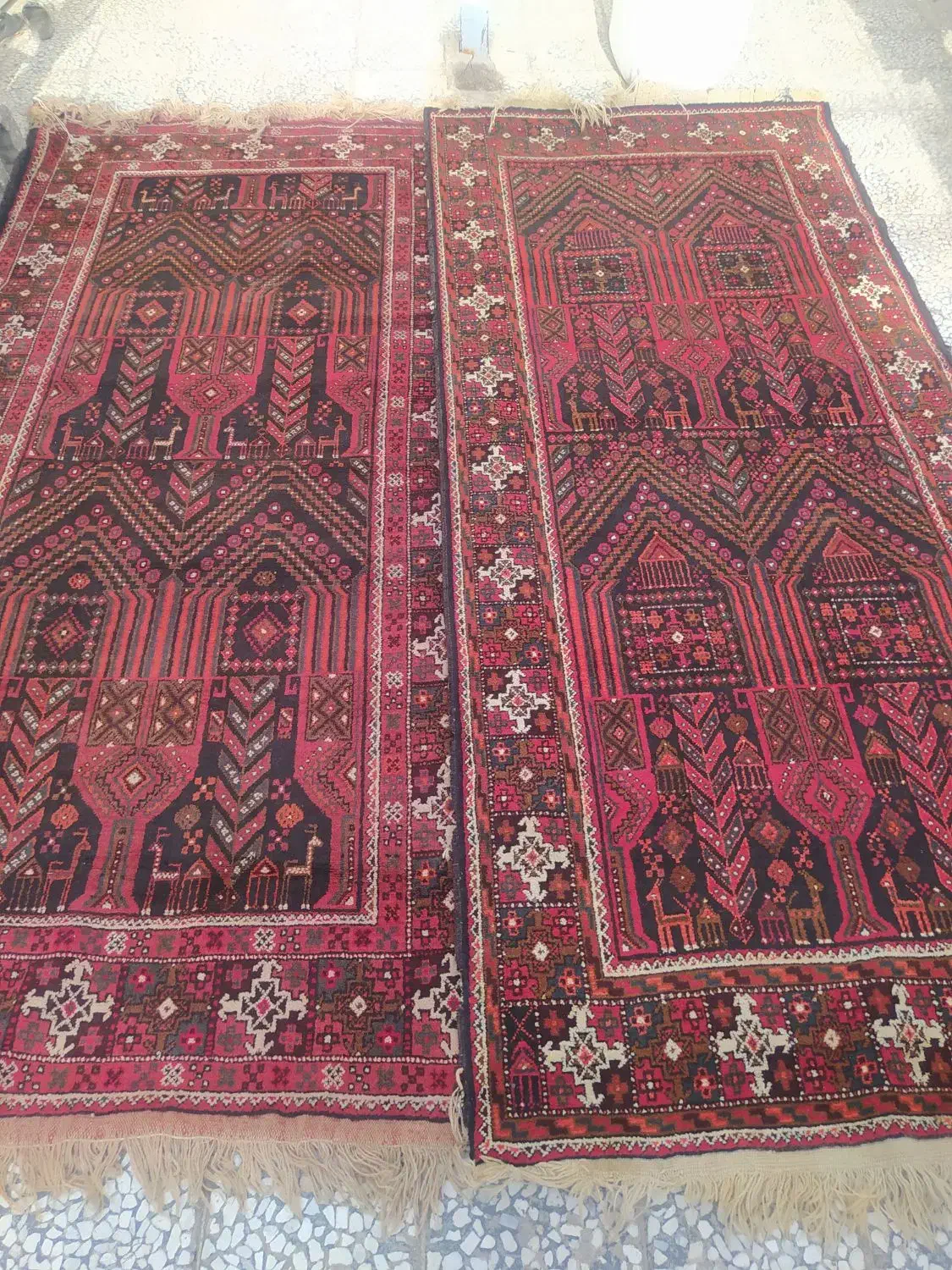 فرش دستباف|فرش|زابل, |دیوار