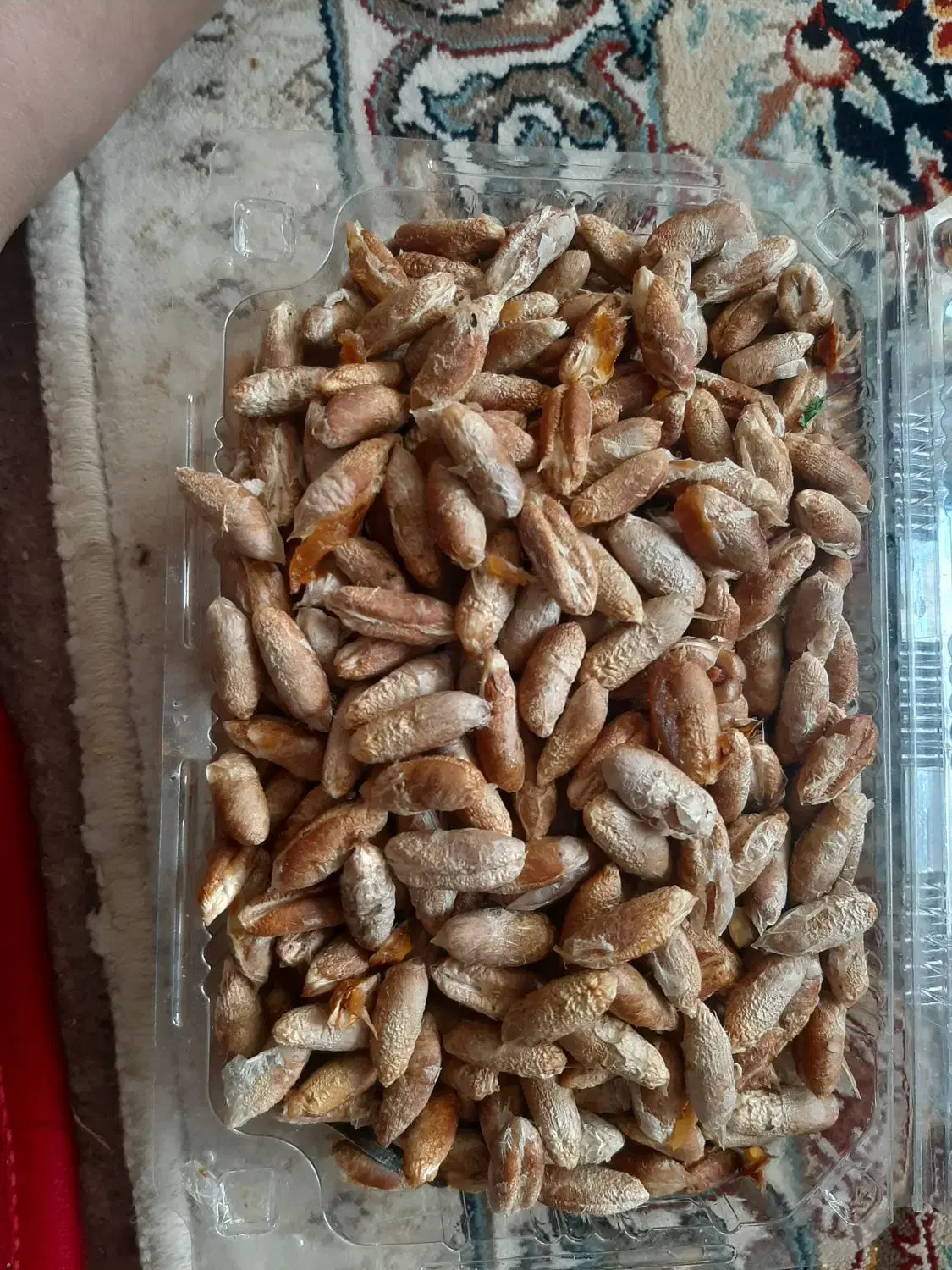 هسته|خوردنی و آشامیدنی|سبزوار, شهرک اندیشه|دیوار