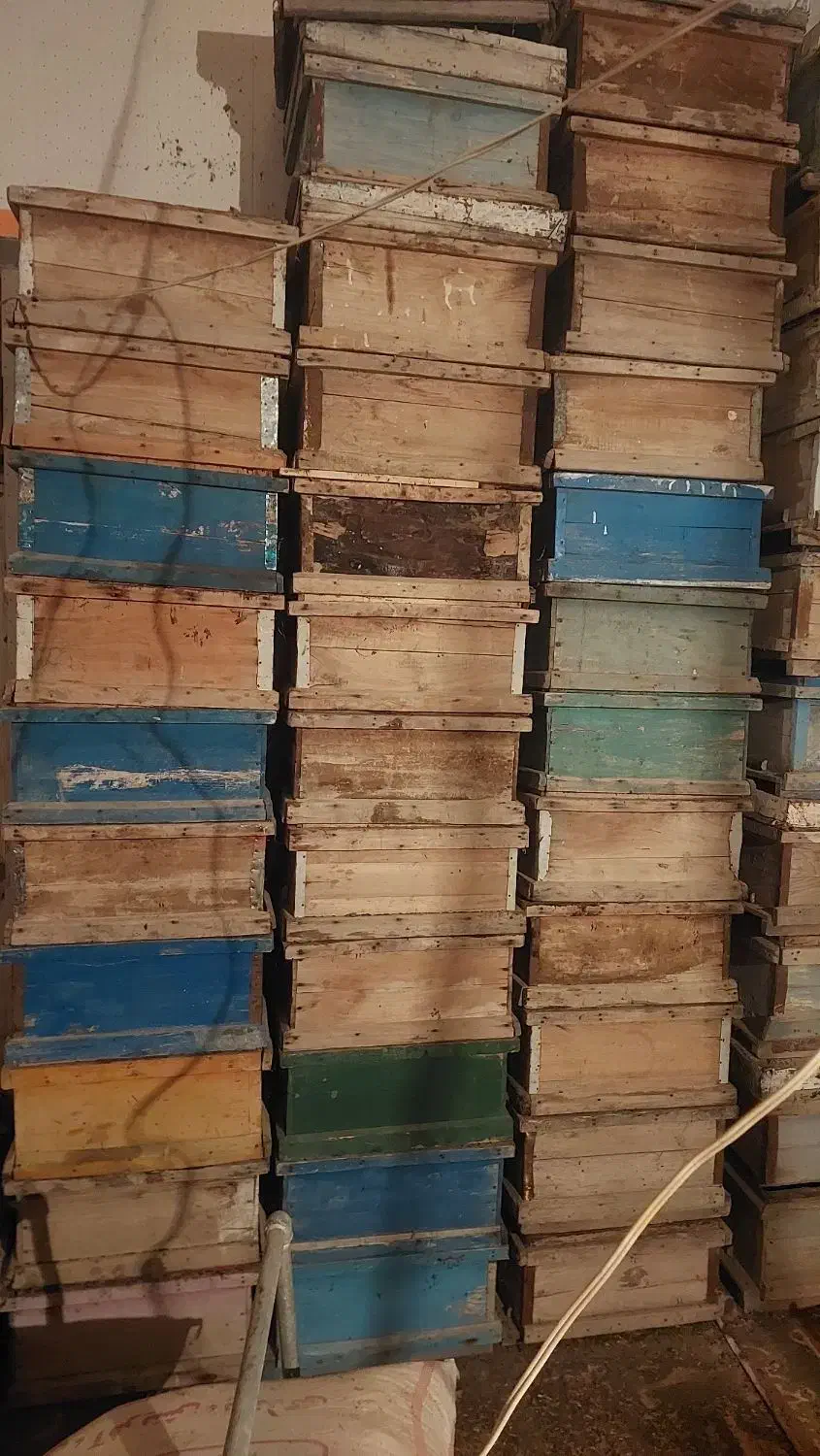 طبق کندو|ابزارآلات|قره ضیاالدین, |دیوار