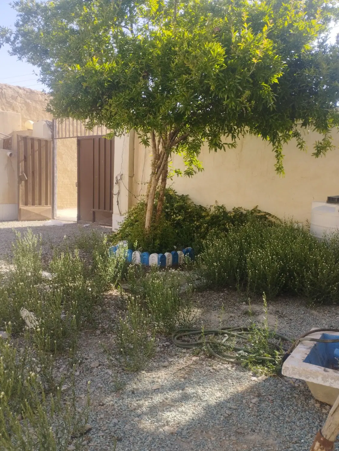 خونه باغ - Widok 2