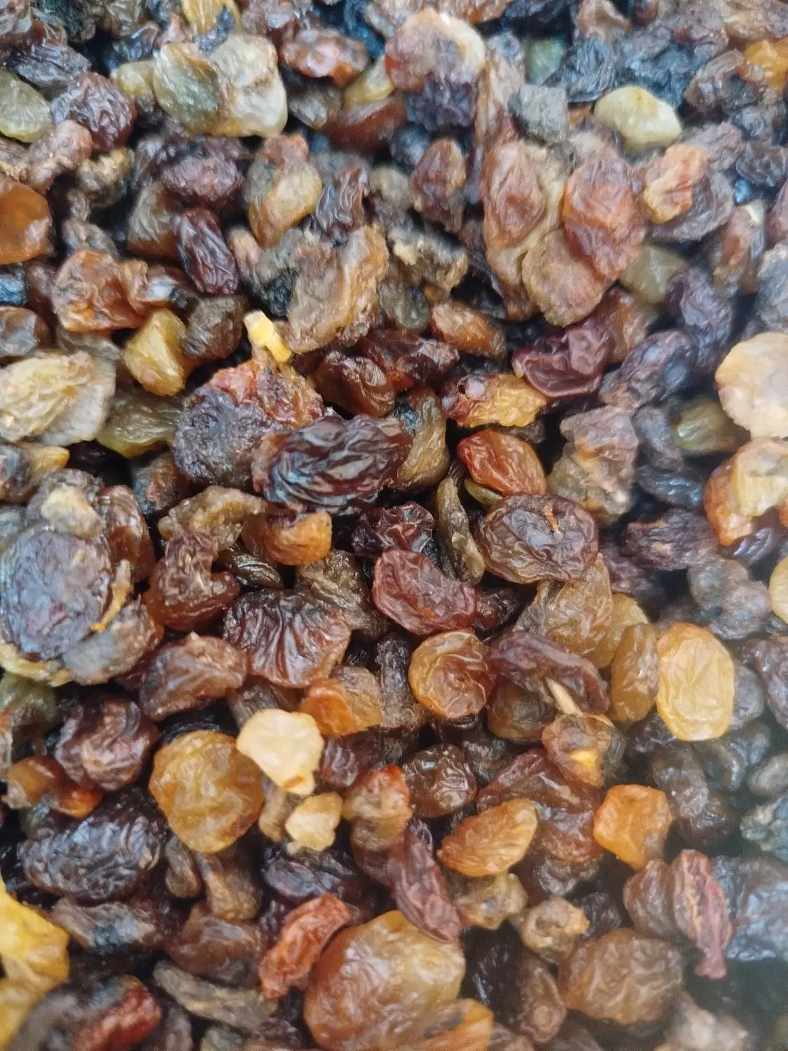 کشمش|خوردنی و آشامیدنی|آذرشهر, |دیوار