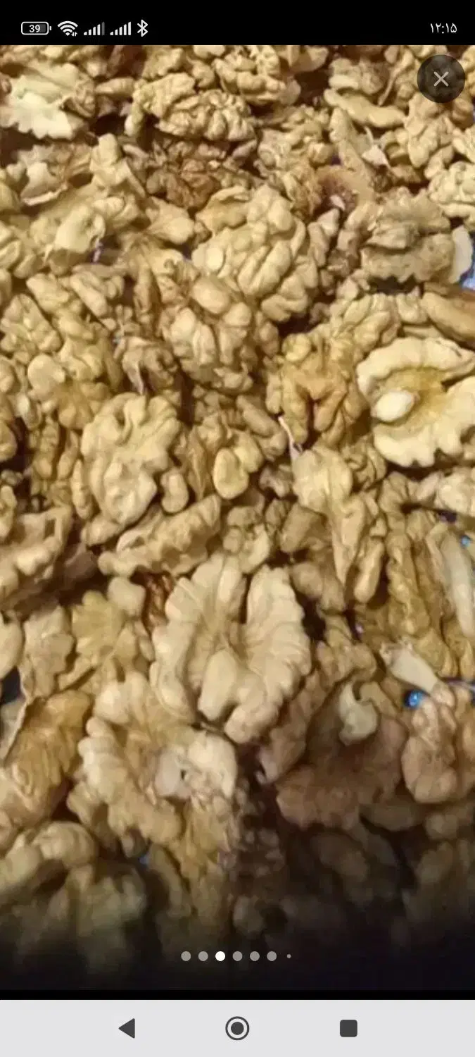 گردو|خوردنی و آشامیدنی|رشت, جهاد|دیوار