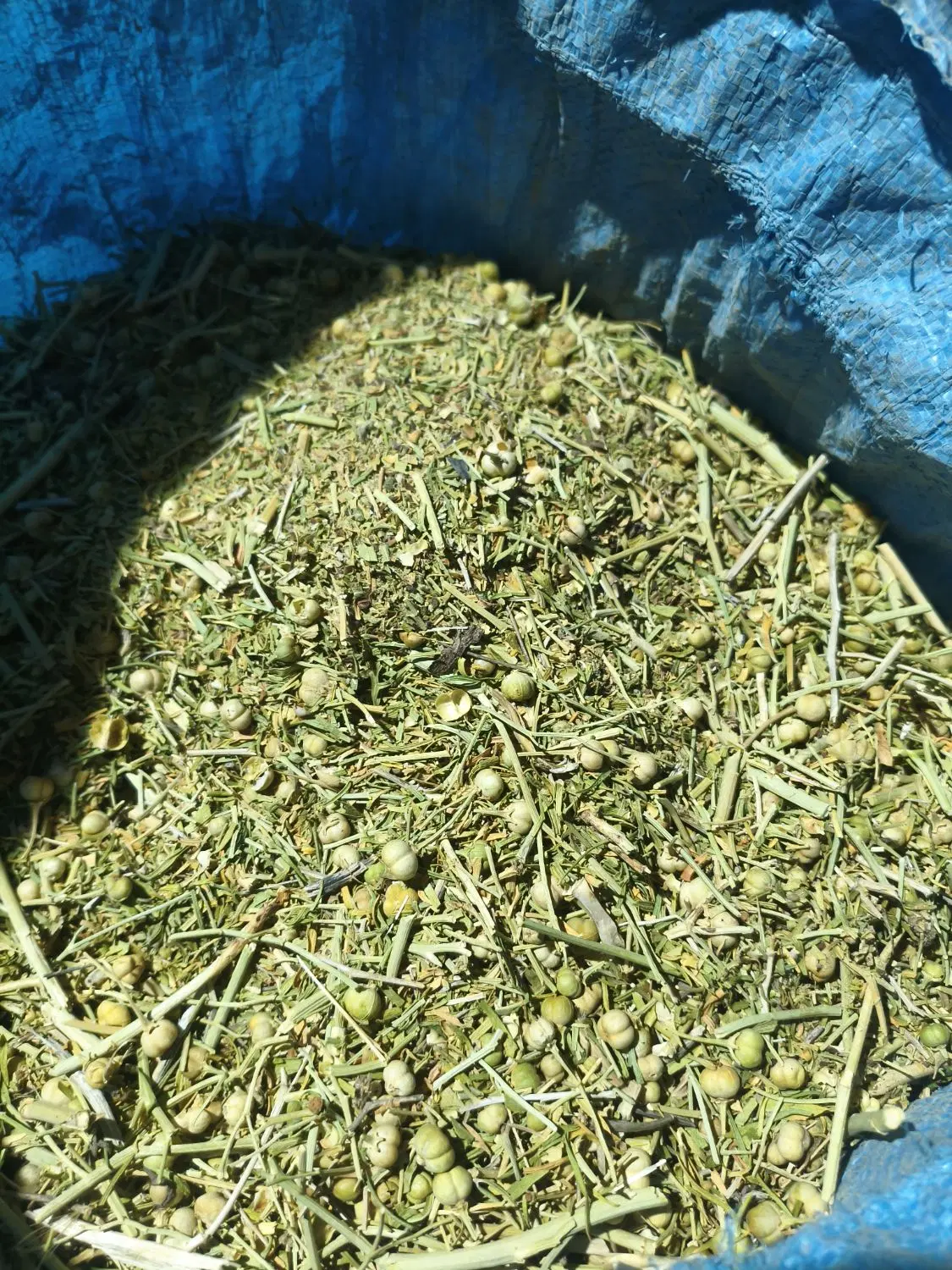 اسپند|خوردنی و آشامیدنی|مبارکه, |دیوار