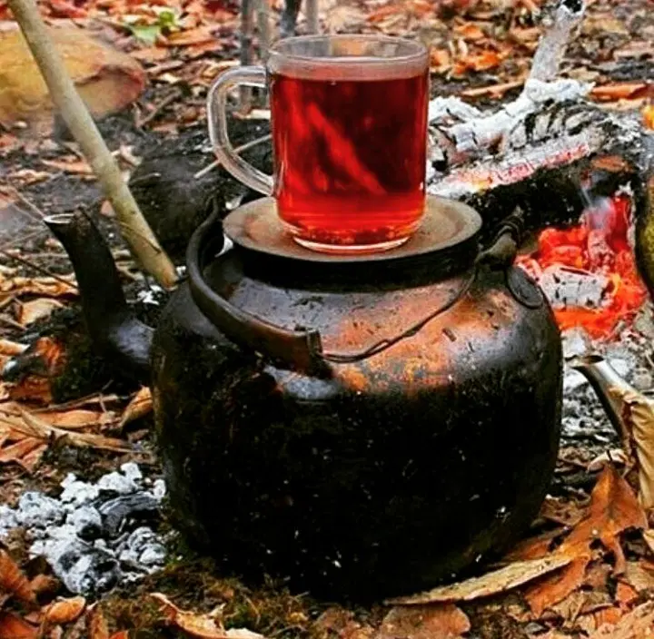 چای|خوردنی و آشامیدنی|لاهیجان, پردسر|دیوار
