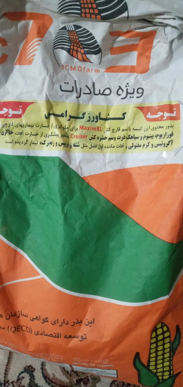بذر ذرت|گل و گیاه طبیعی|ماهیدشت, |دیوار