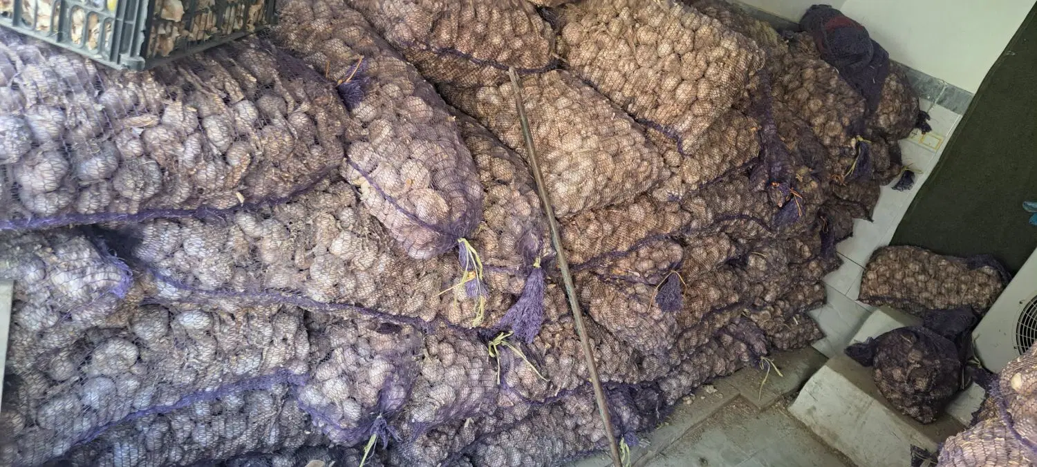 سیر|خوردنی و آشامیدنی|پارس‌آباد, |دیوار