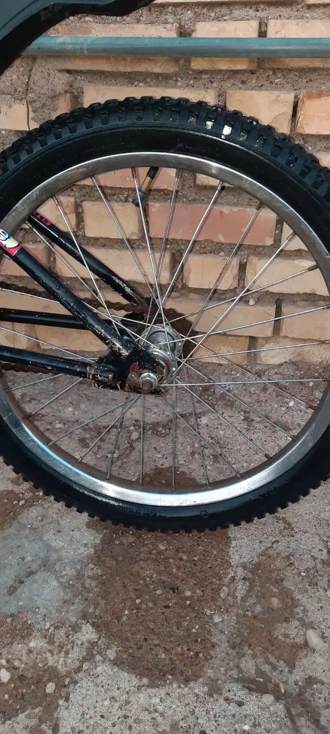 دوچرخه|دوچرخه، اسکیت، اسکوتر|شوشتر, |دیوار