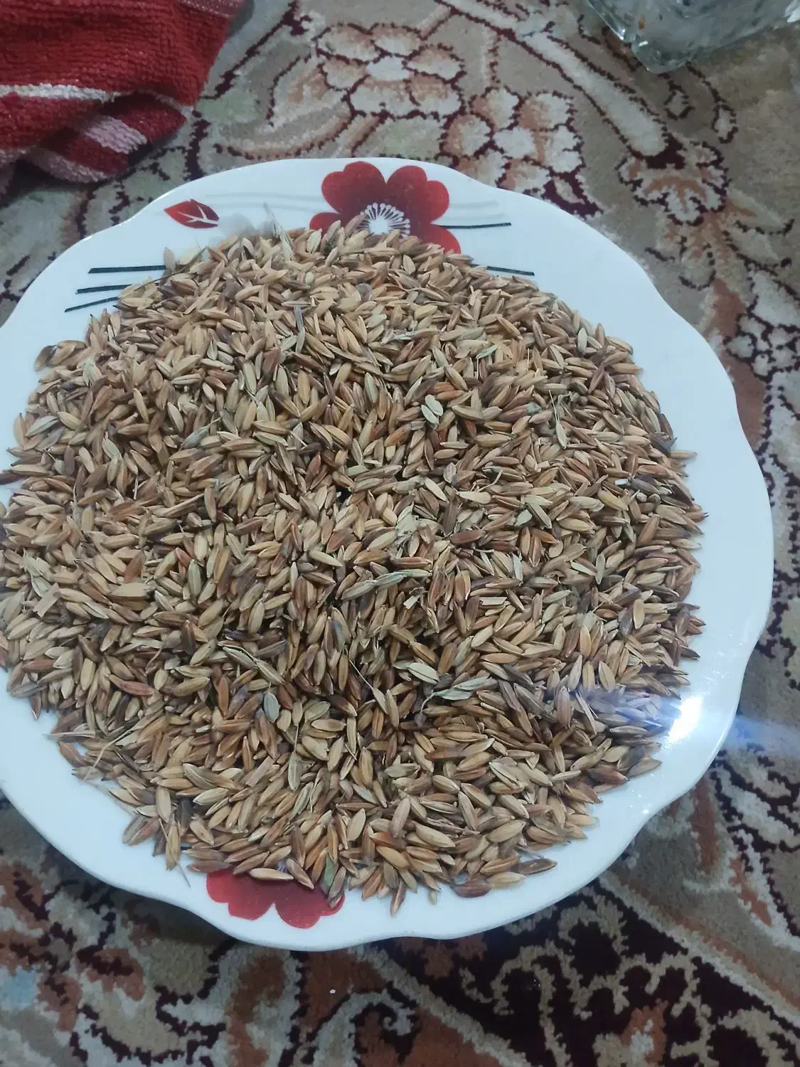 حمیدیه|خدمات باغبانی و درختکاری|حمیدیه, |دیوار