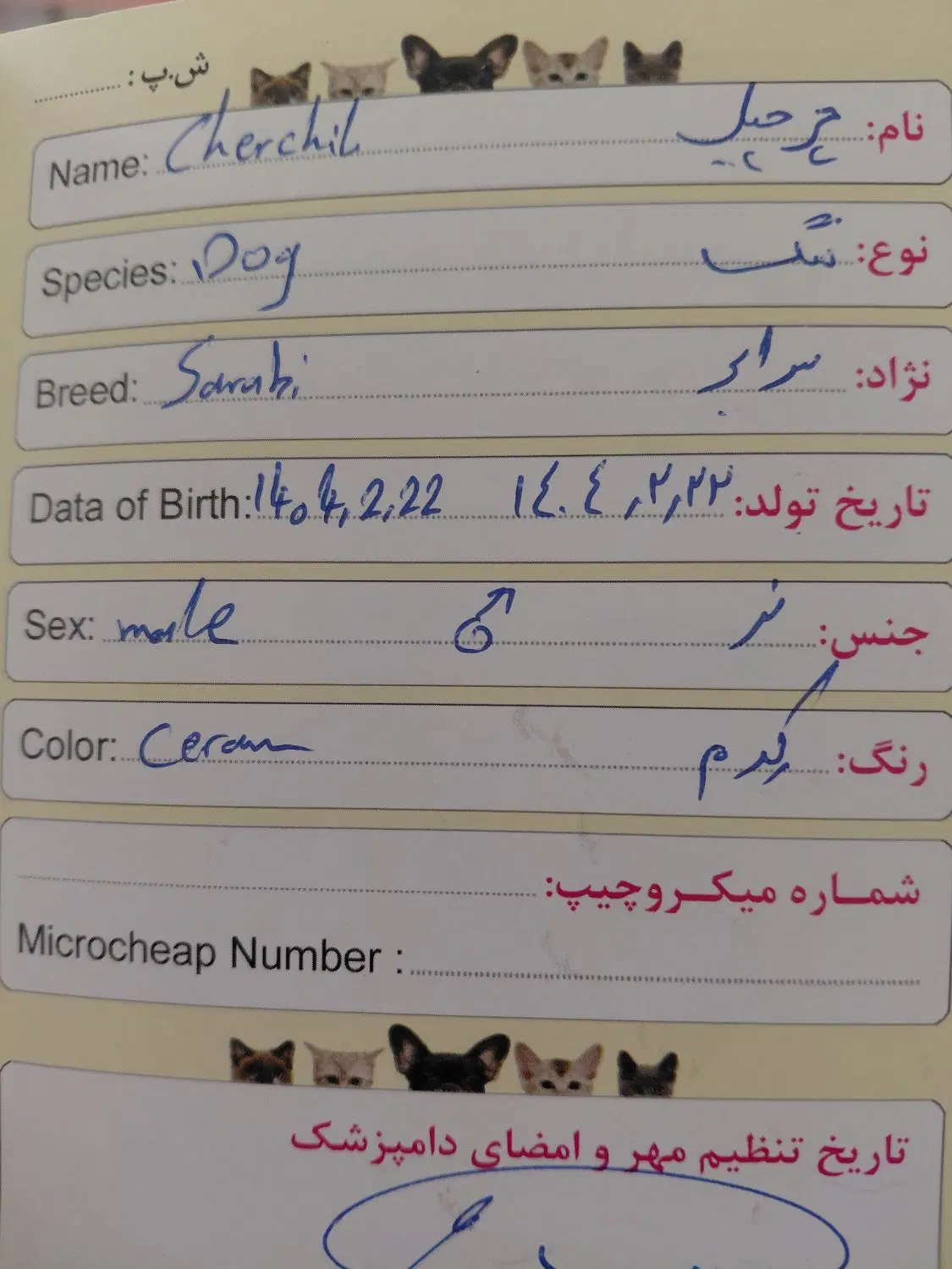 سگ‌ سرابی|سگ|بروجن, |دیوار