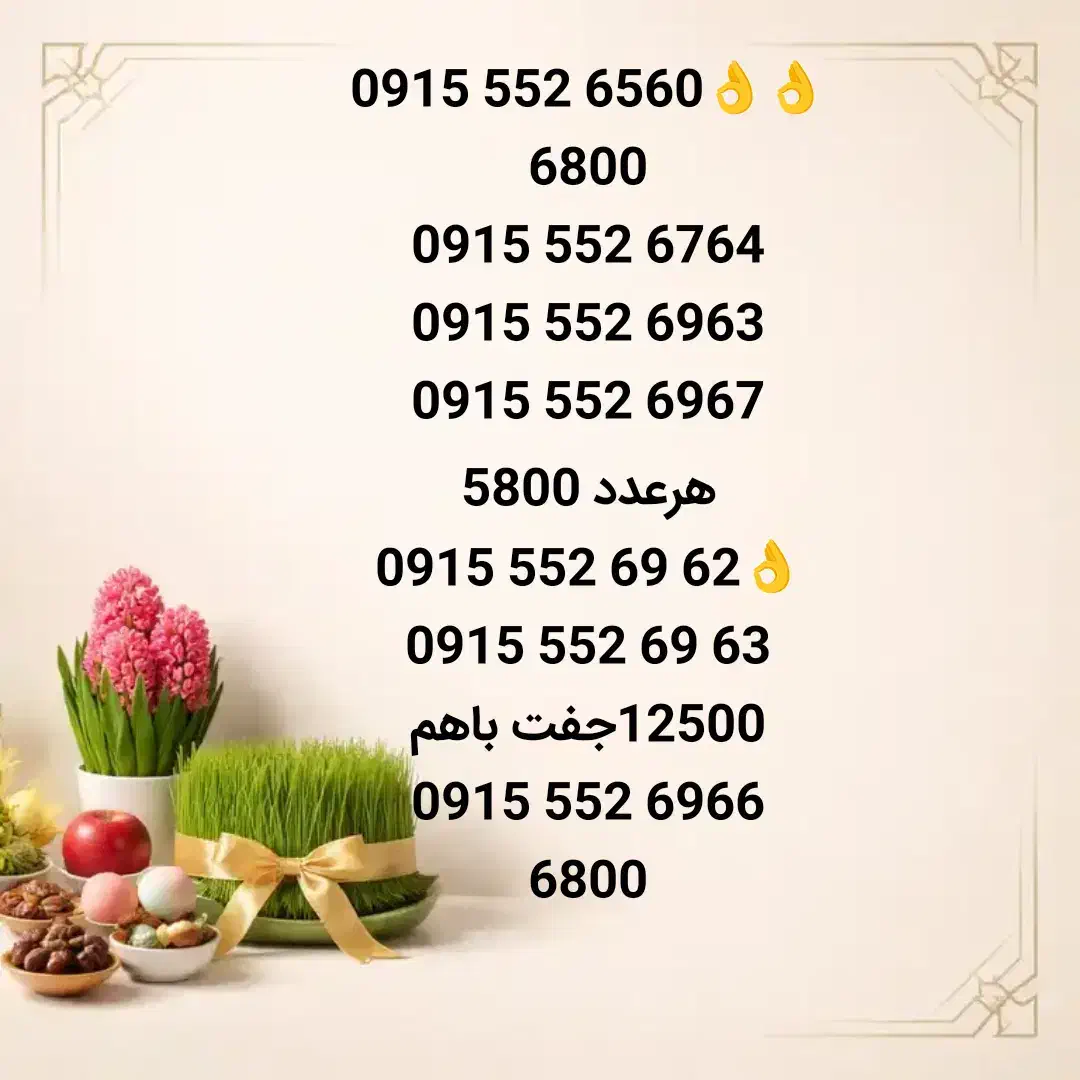 09155523835|سیم‌کارت|نیشابور, دارایی|دیوار