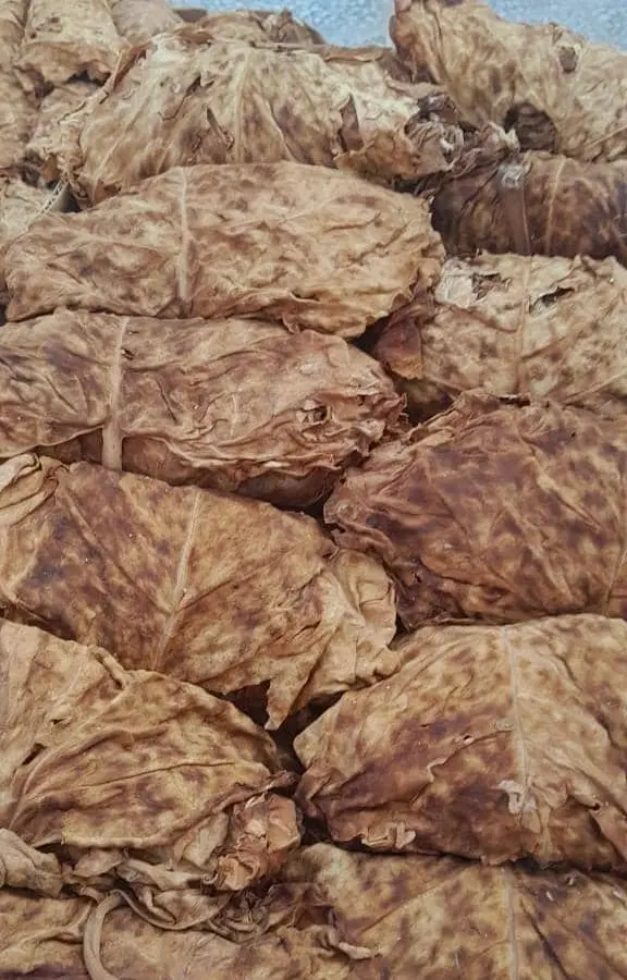 برگ|خدمات باغبانی و درختکاری|رستم, |دیوار