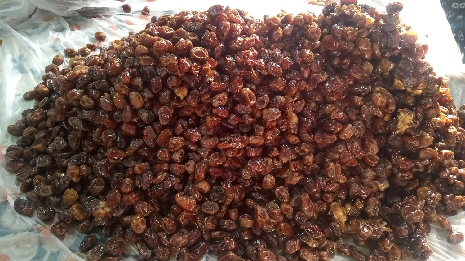 خرما|خوردنی و آشامیدنی|بوشهر, |دیوار