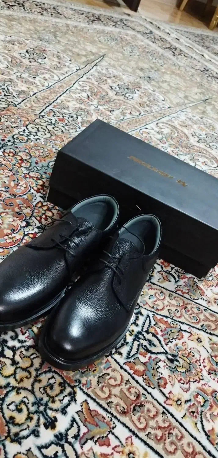 کفش چرم|کیف، کفش، کمربند|تهران, آرژانتین|دیوار
