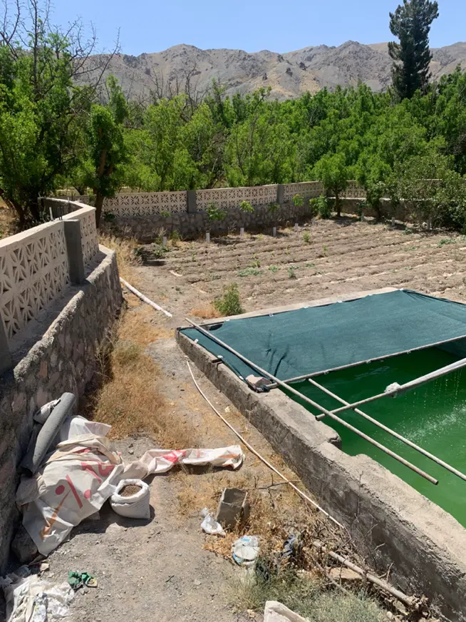 تصویر 10