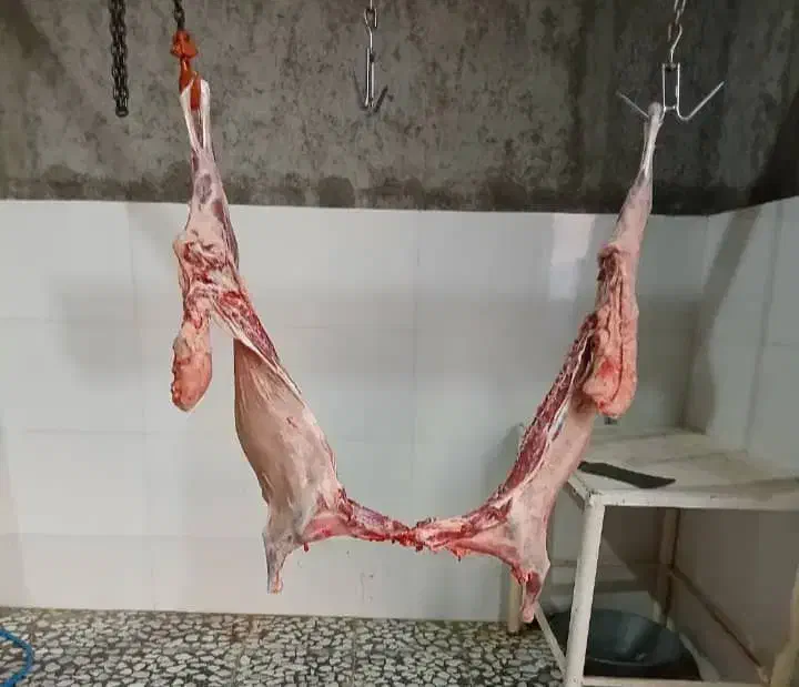 گوشت|خوردنی و آشامیدنی|شیراز, شهرک قمشه|دیوار