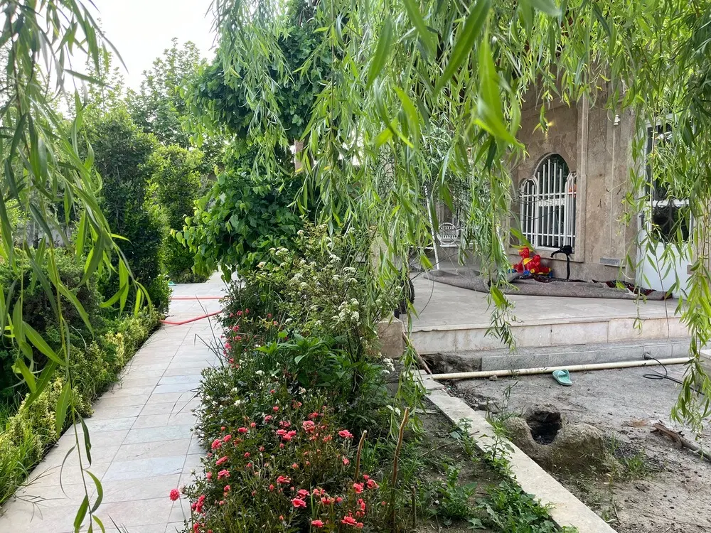 تصویر 2