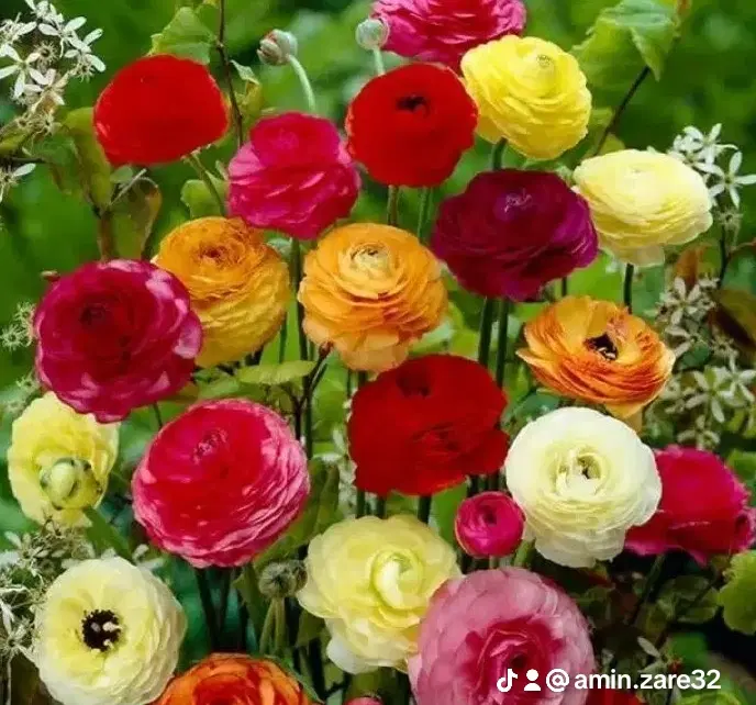 ۰۹۳۵۳۱۴۰۱۲۵|سیم‌کارت|دزفول, |دیوار