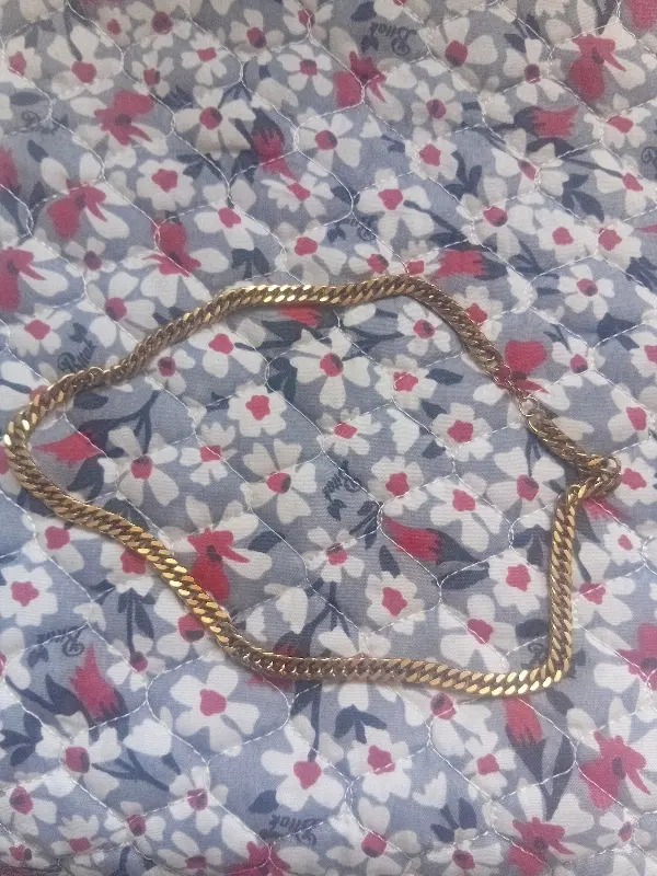 کبوتر|پرنده|شیراز, فرگاز|دیوار