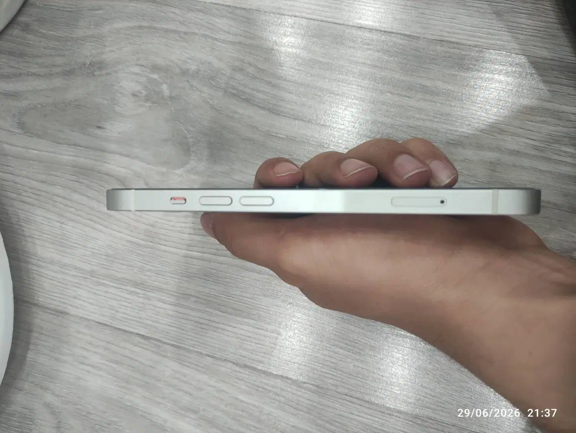 Iphone 13|موبایل|شیراز, آبیاری|دیوار