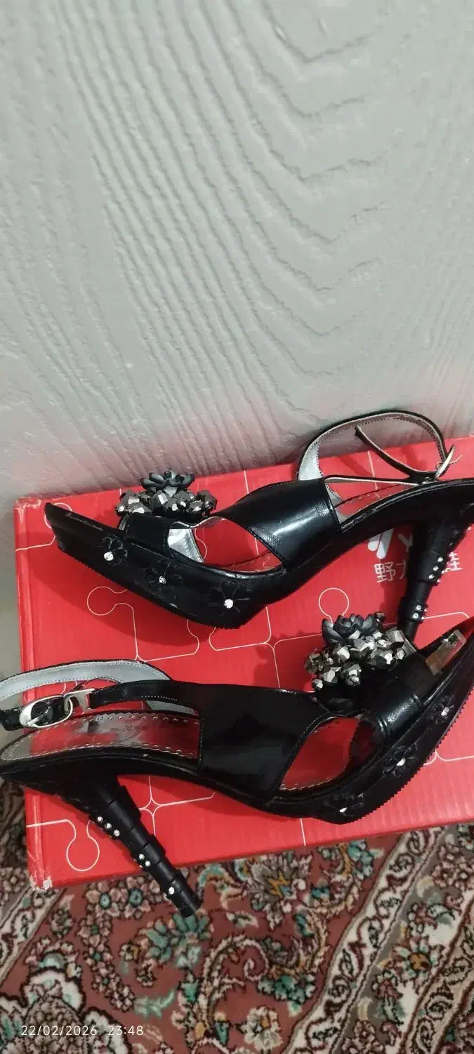 کیف و کفش|کیف، کفش، کمربند|نسیم‌شهر, |دیوار