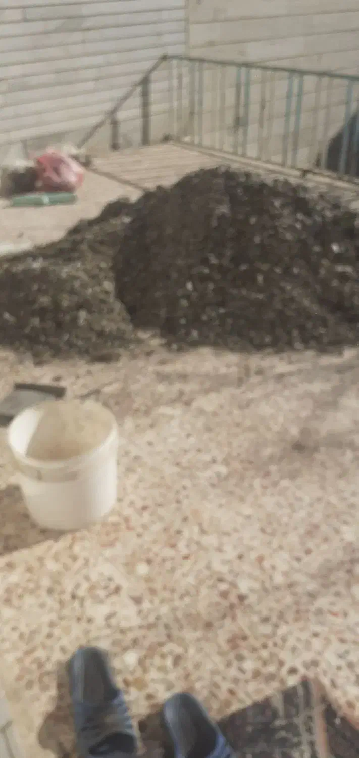 کودکفتر|لوازم جانبی حیوانات|سبزوار, باهنر|دیوار