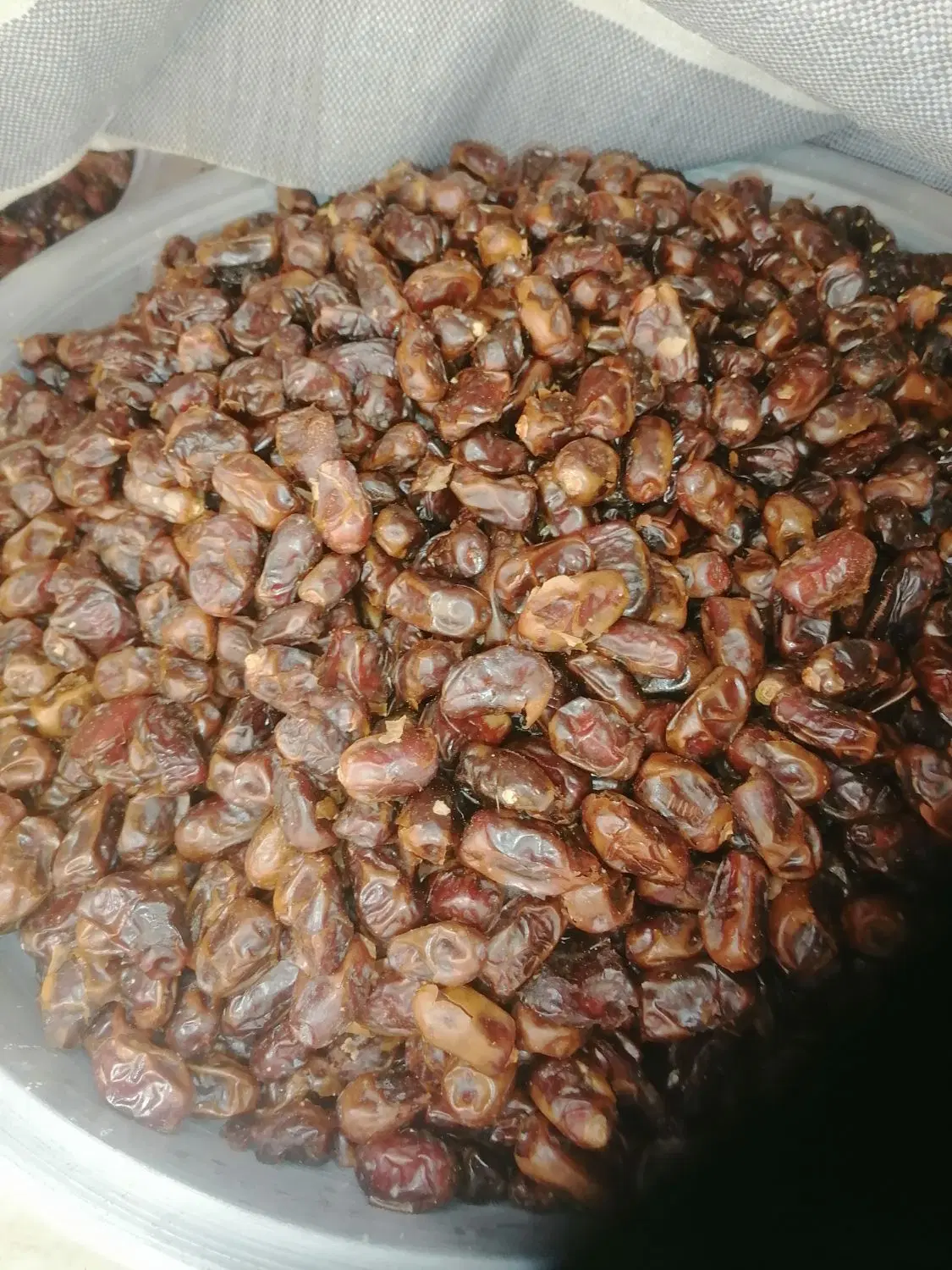 خرما|خوردنی و آشامیدنی|اهواز, پردیس دو|دیوار