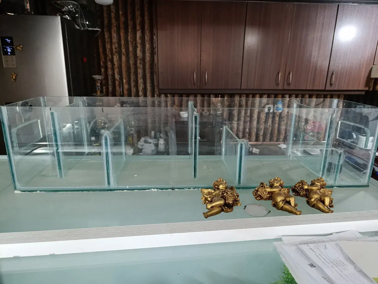 آکواریوم|ماهی|مشهد, امیریه|دیوار