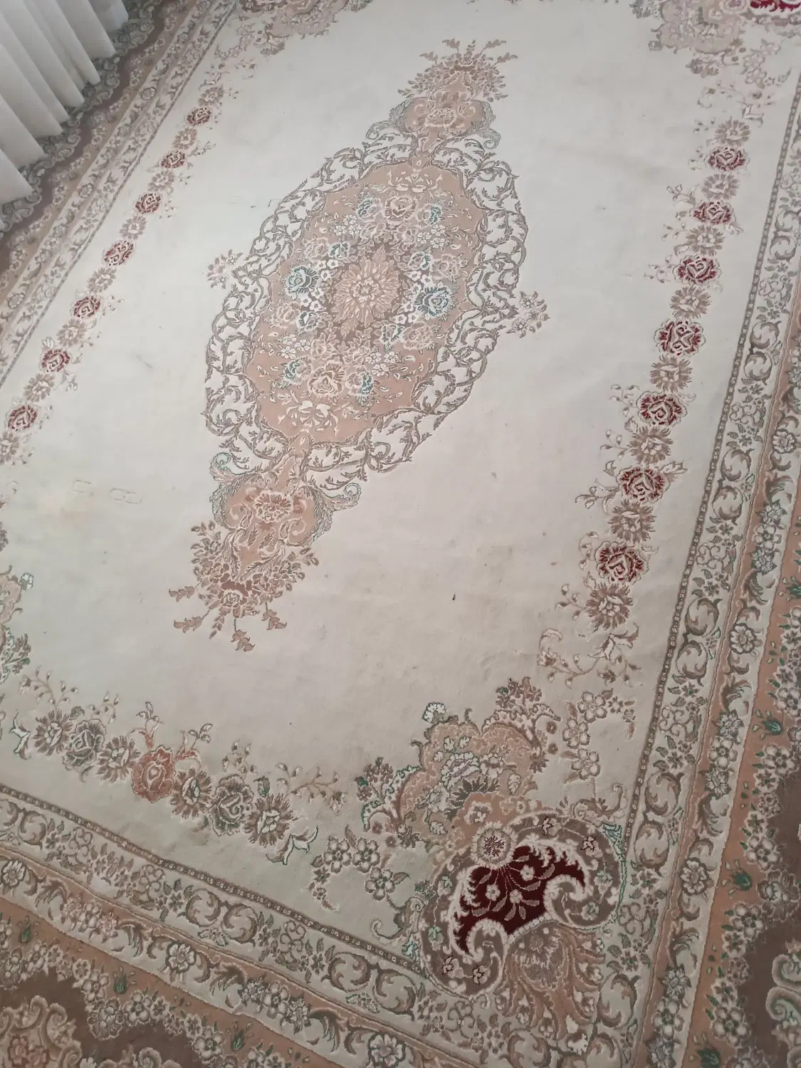 فرش|فرش|تربت جام, پارک جنگلی|دیوار