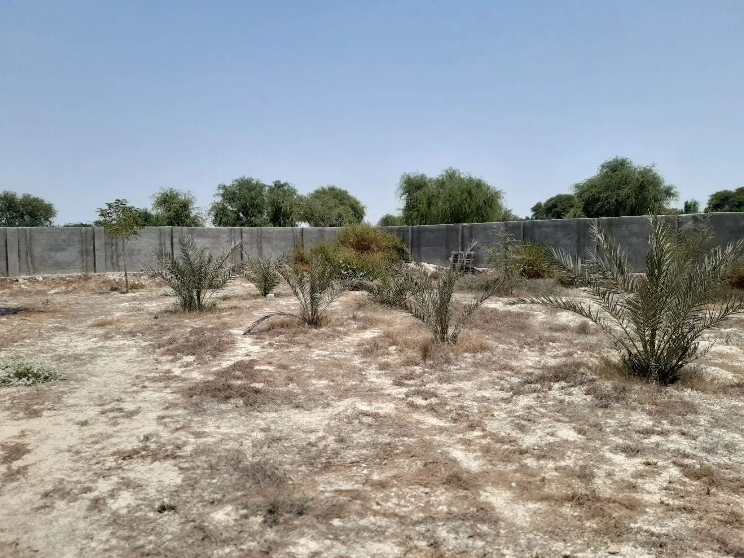 تصویر 3