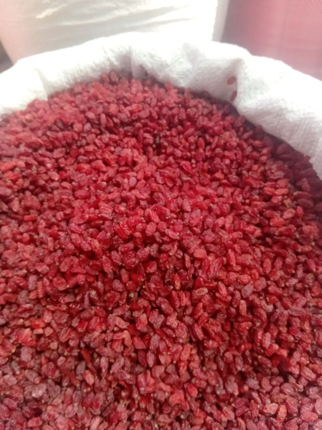 زرشک|خوردنی و آشامیدنی|قائن, |دیوار