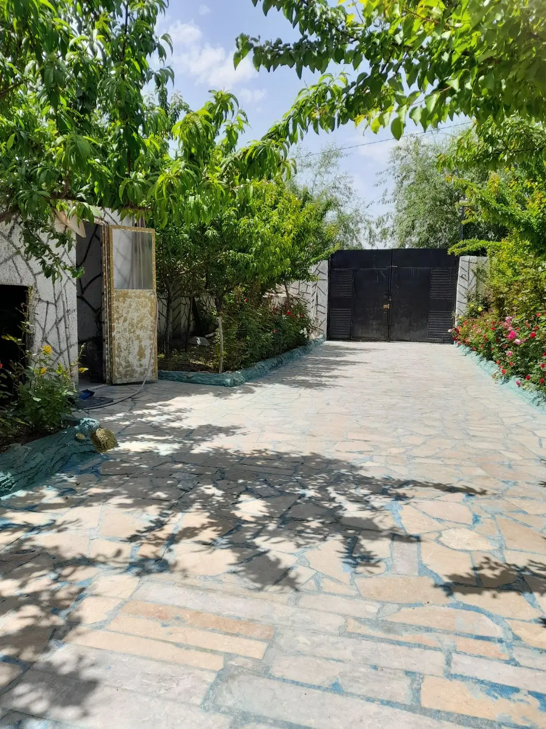 تصویر 7