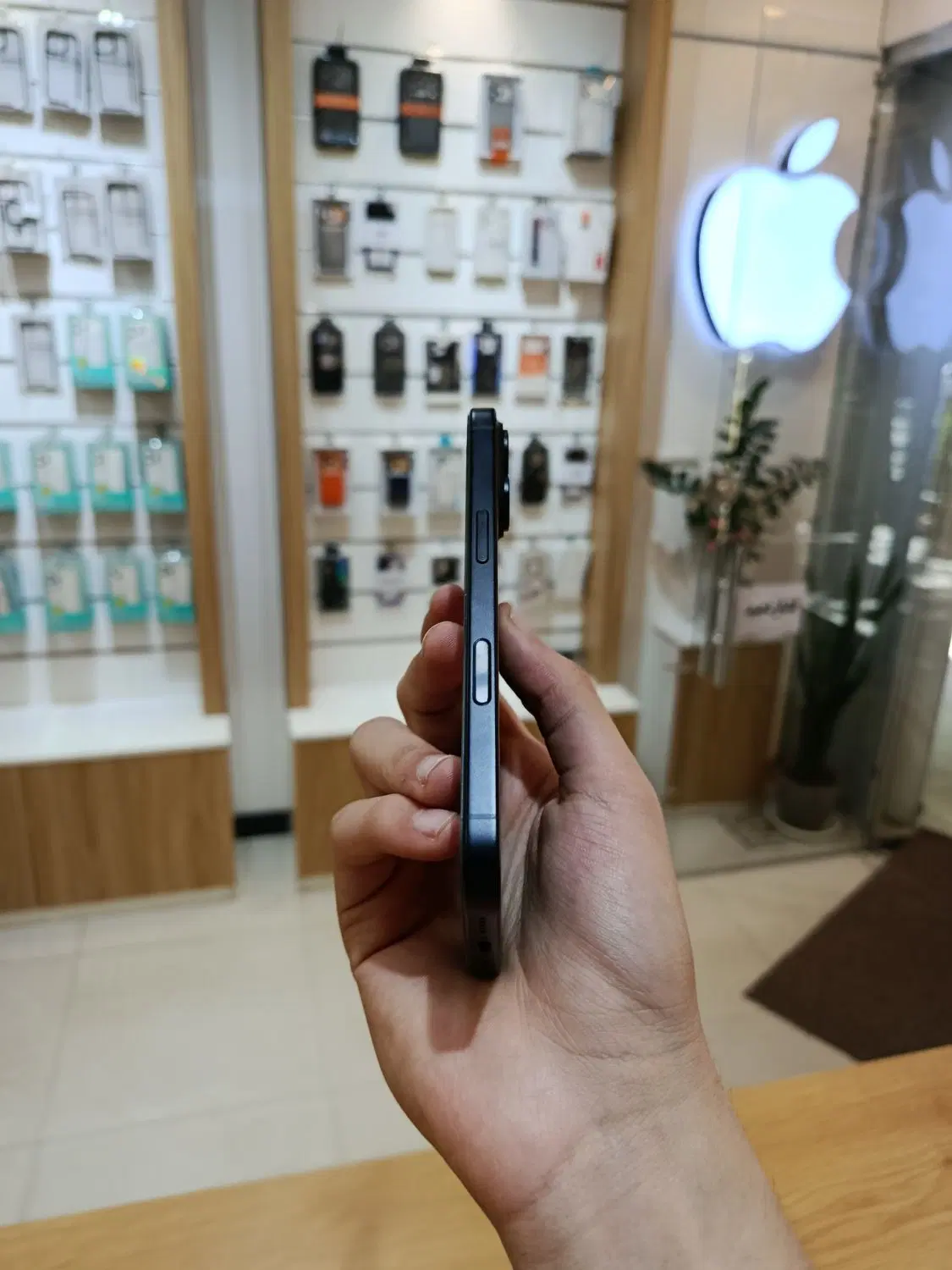 16normal|موبایل|اصفهان, چرخاب|دیوار