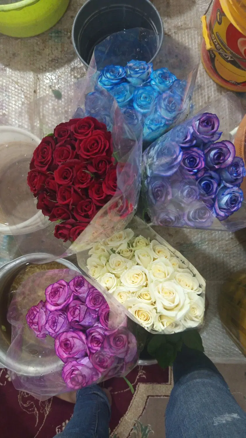 گل رز|گل و گیاه طبیعی|برازجان, |دیوار