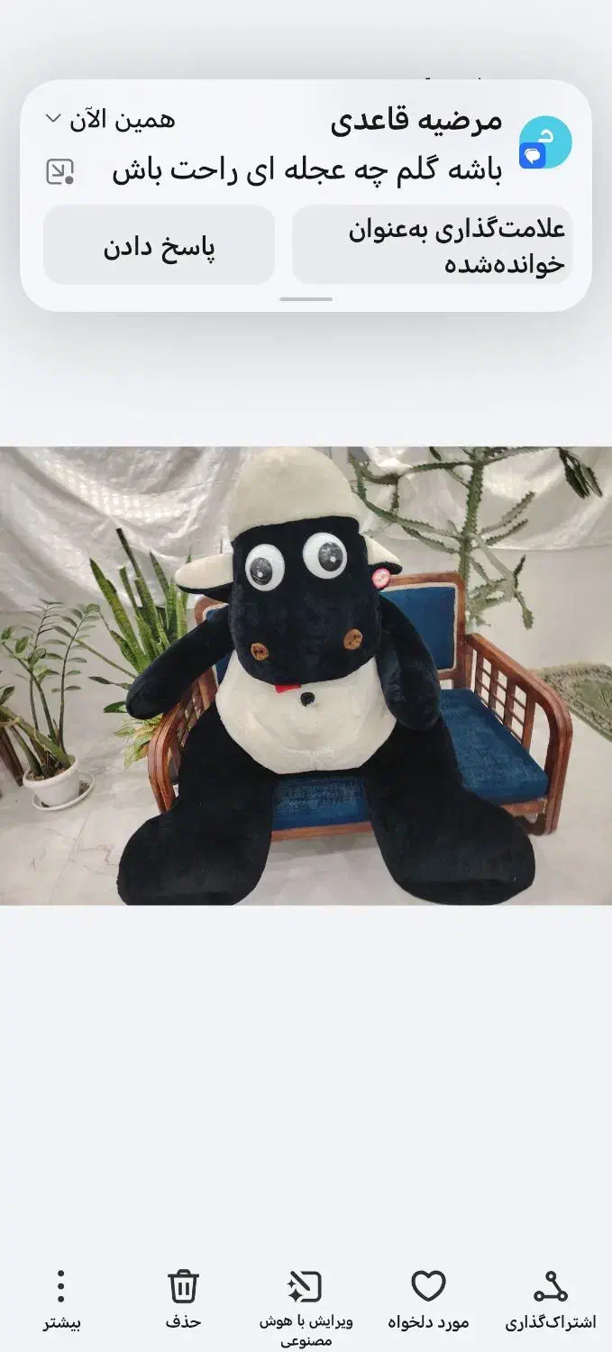 عروسک|اسباببازی بچه|بوشهر, |دیوار