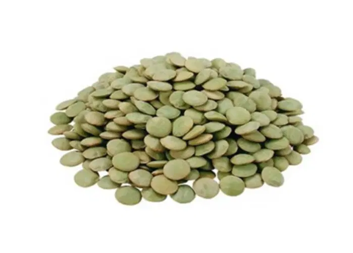 عدس|خوردنی و آشامیدنی|مشگین شهر, |دیوار