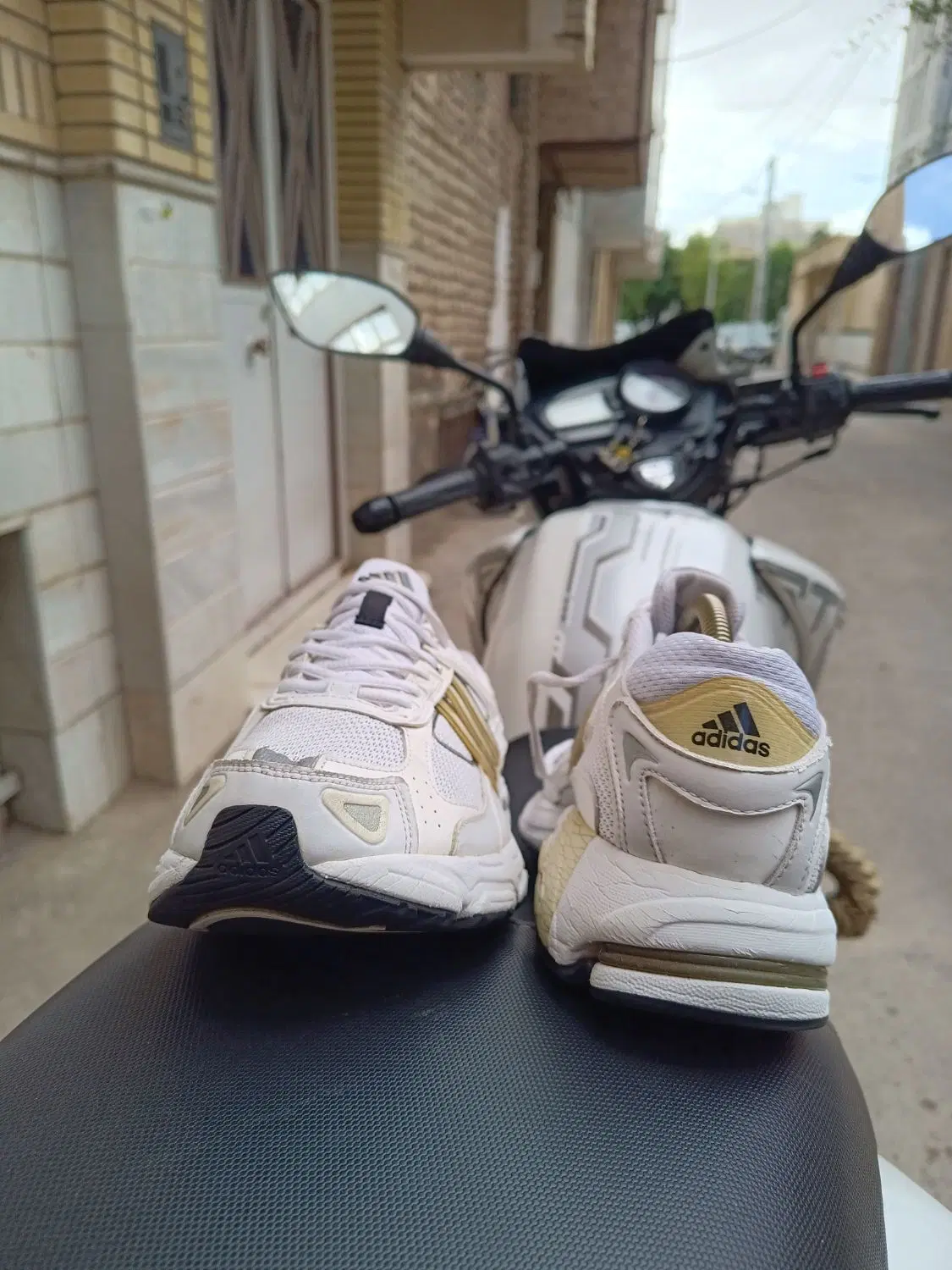 adidas|کیف، کفش، کمربند|قم, عمار یاسر|دیوار