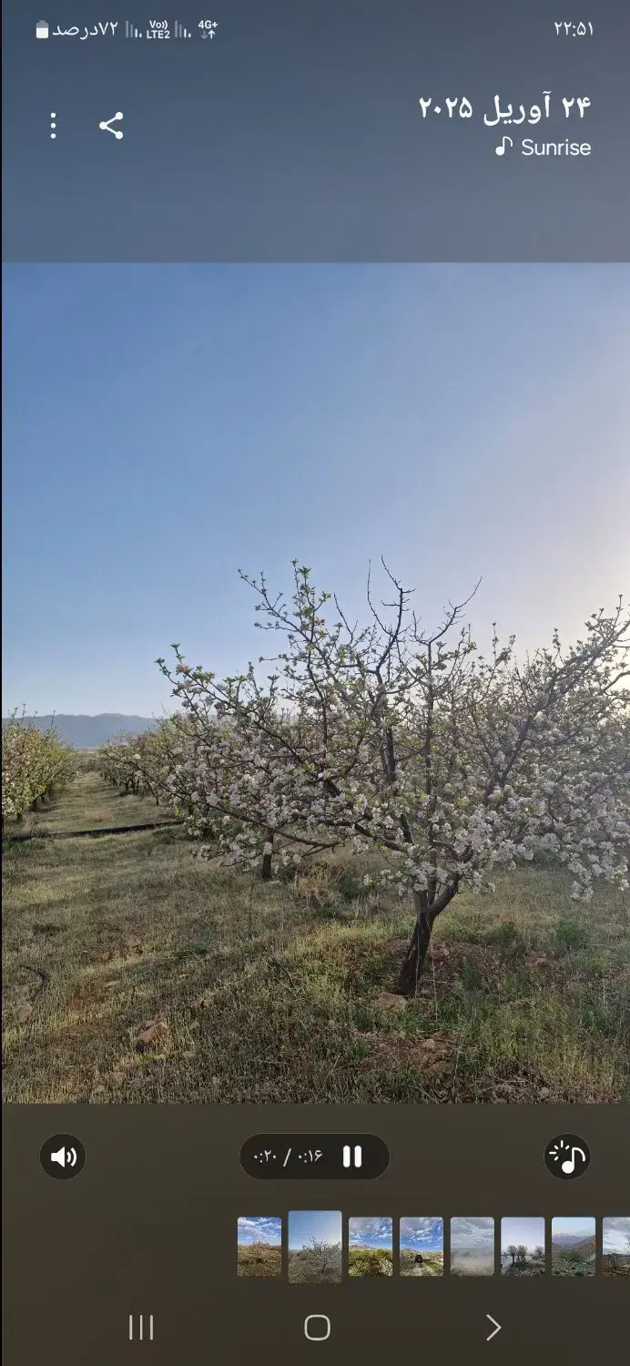 باغ|فروش زمین و ملک کلنگی|اقلید, |دیوار