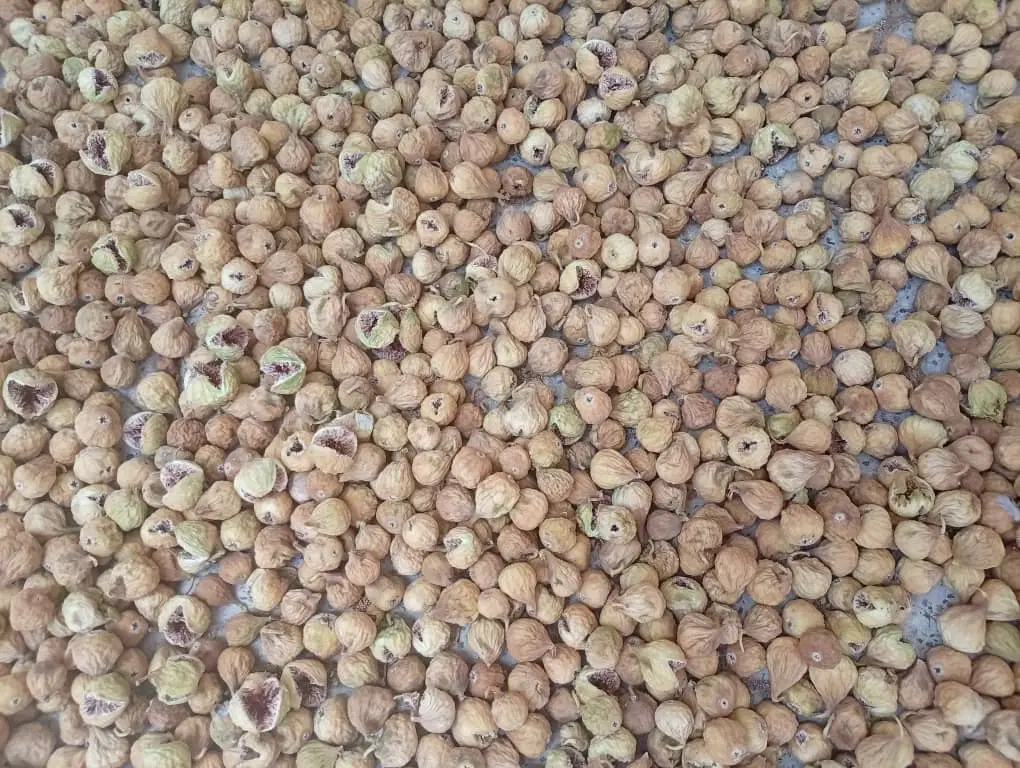 انجیر|خوردنی و آشامیدنی|فسا, |دیوار