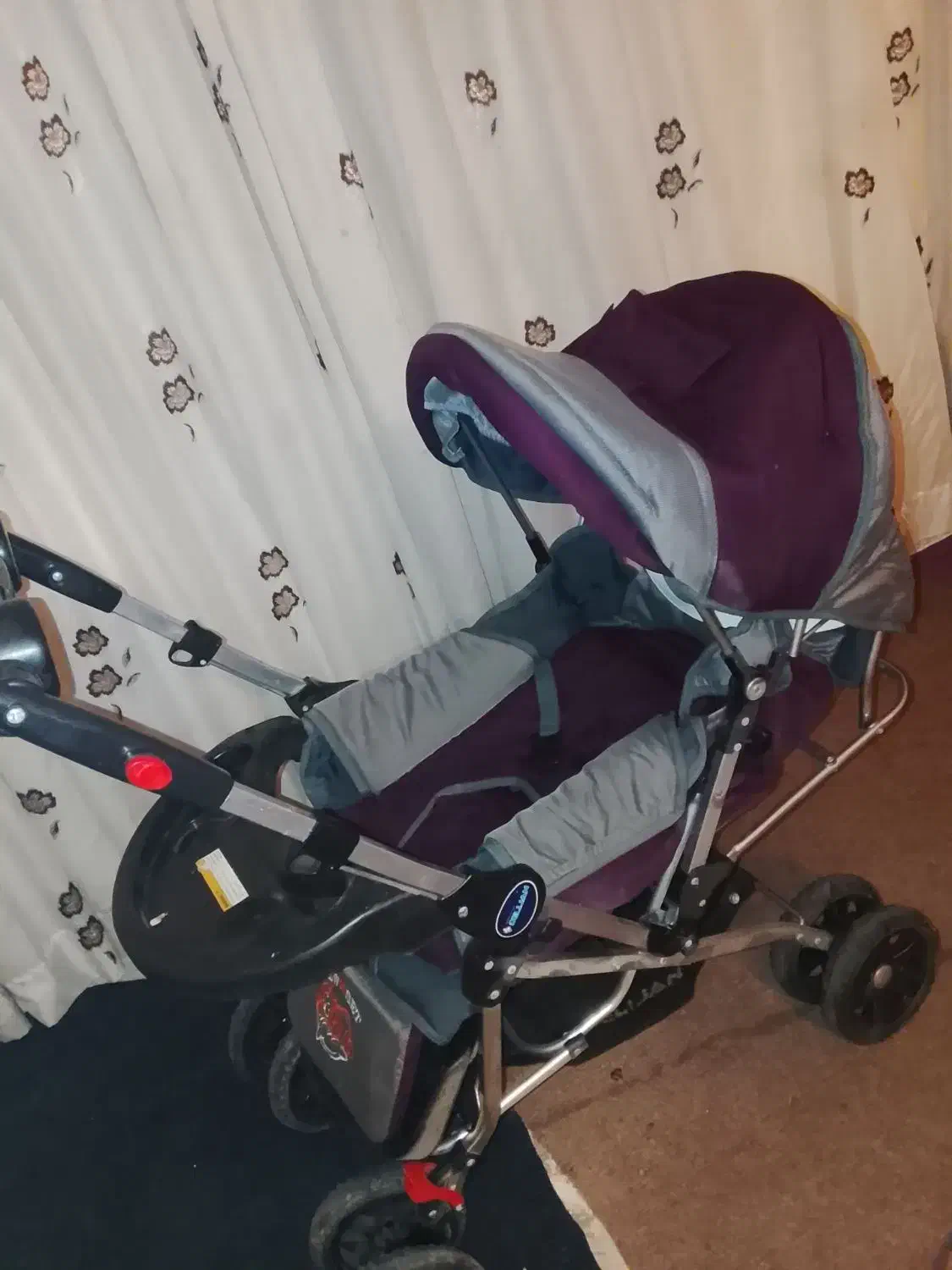 کالسکه|کالسکه و لوازم جانبی|تبریز, |دیوار