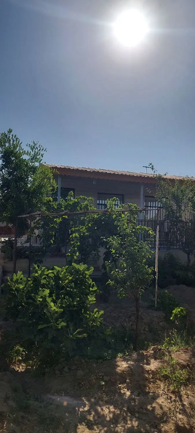 تصویر 3