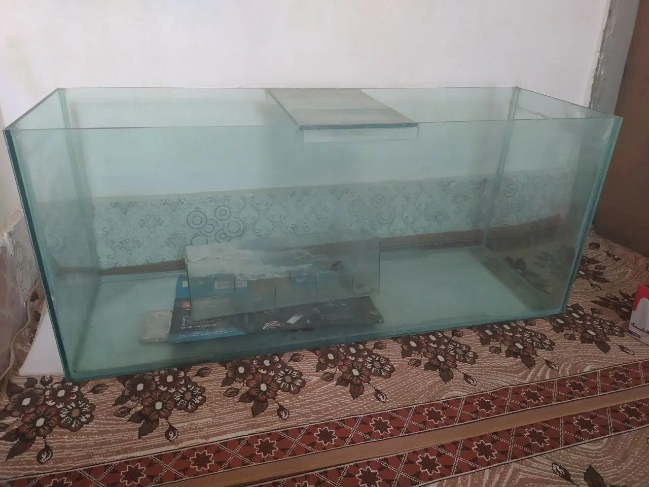 اکواریم|ماهی|بوکان, |دیوار