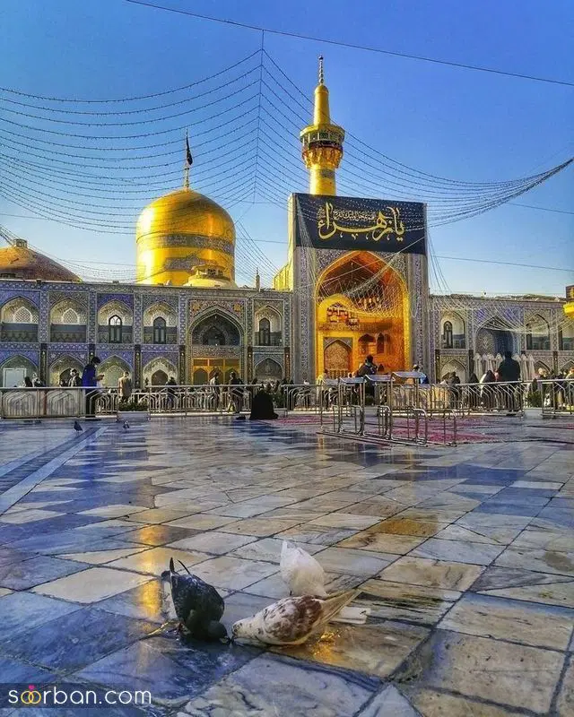 تور مشهد|تور و چارتر|سنندج, |دیوار