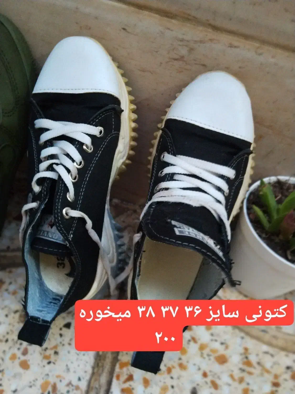 لباس|کیف، کفش، کمربند|رباط‌کریم, الارد|دیوار