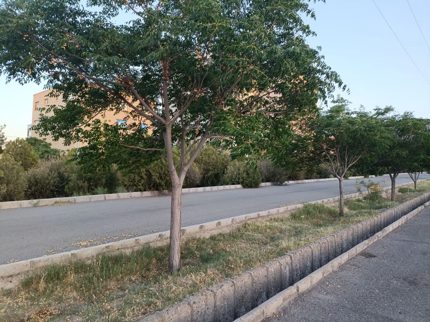 تصویر 2