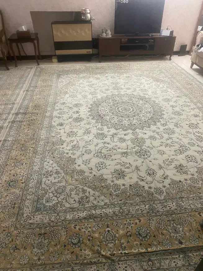 فرش ۱۲متری|فرش|اصفهان, همدانیان|دیوار