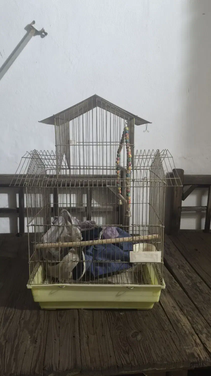 قفس|لوازم جانبی حیوانات|مشهد, ارشاد|دیوار