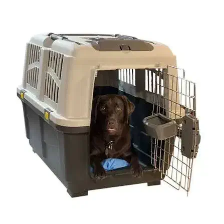 باکس سگ|لوازم جانبی حیوانات|قم, سالاریه|دیوار